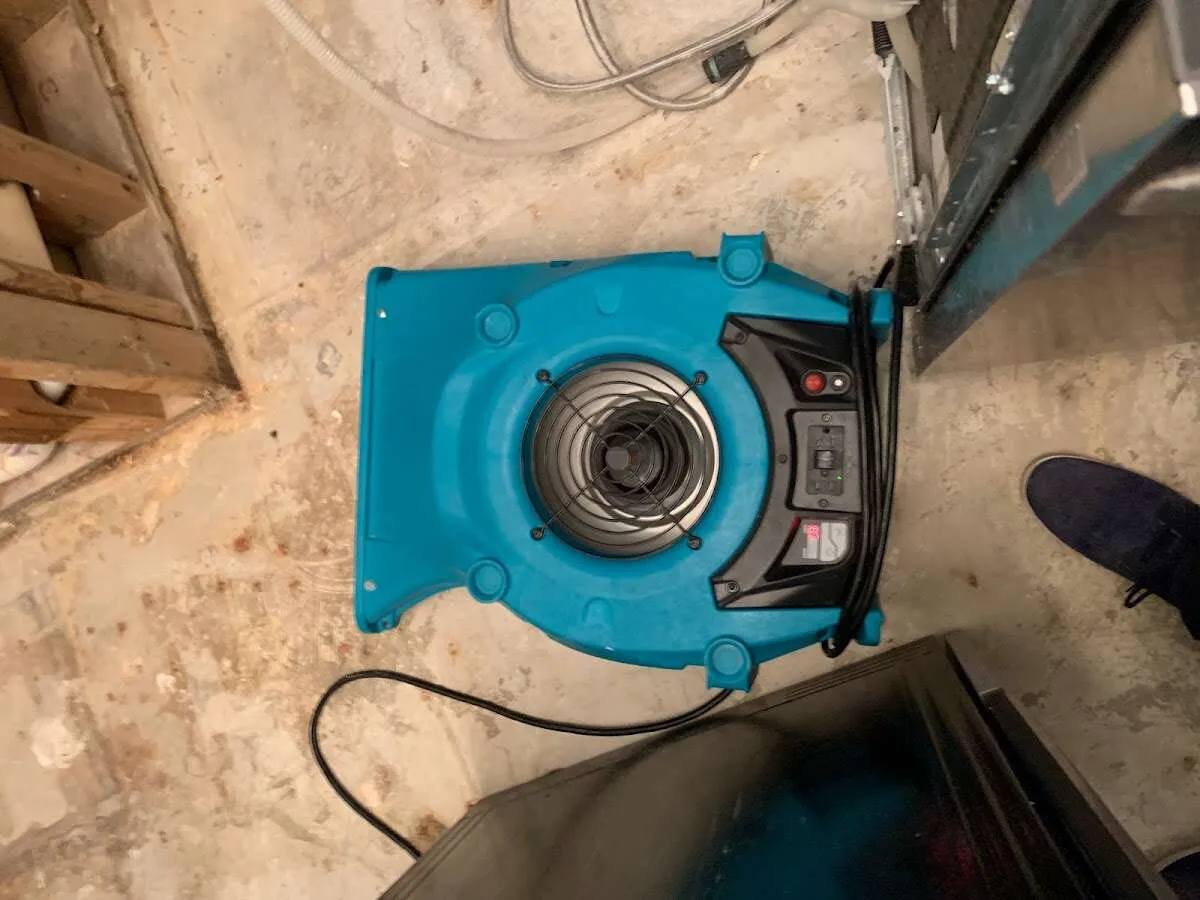 Air mover drying equipment for Mold Remediation & Removal in Germantown